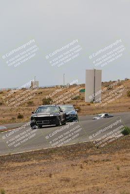 media/May-03-2025-Lucky Dog Racing (Sat) [[206de64b9d]]/Turn 6 (150pm-230pm)/